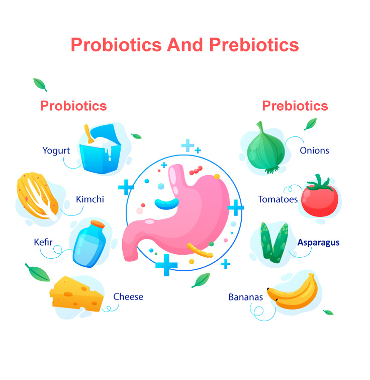 پروبیوتیک و پری بیوتیک