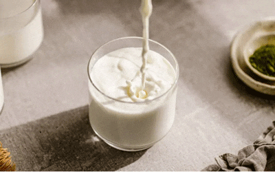 تولید پروتئین شیر بدون آسیب به حیوانات