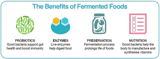 مزایای غذاهای تخمیر شده