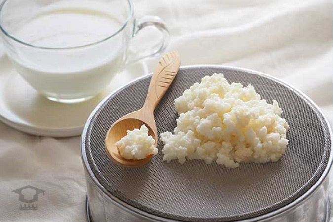طرز تهیه پروبیوتیک طبیعی