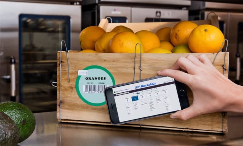 Blockchain Technology and Food Industry