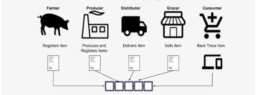 Blockchain Technology and Food Industry
