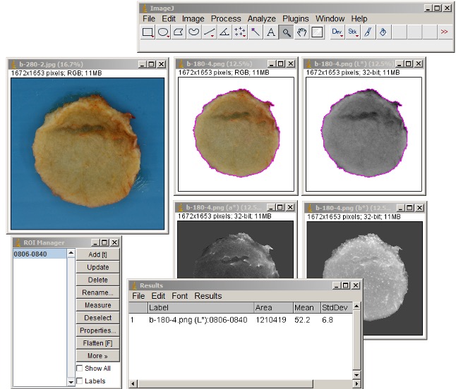 Color Measurement Using ImageJ Software