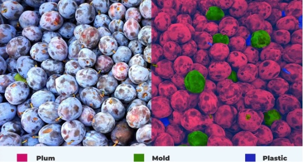 Hyperspectral Imaging and Non-Destructive Measurement
