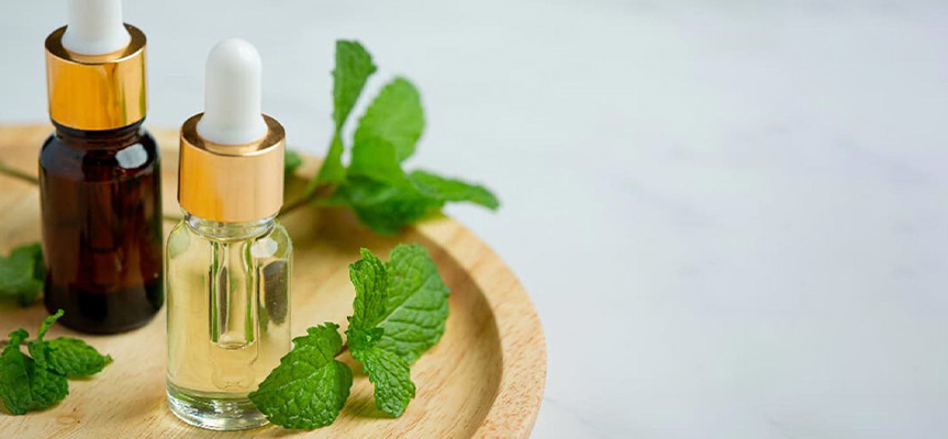 اهمیت افزودنی‌ های طبیعی در توسعه محصولات غذایی The importance of natural additives in the development of food products