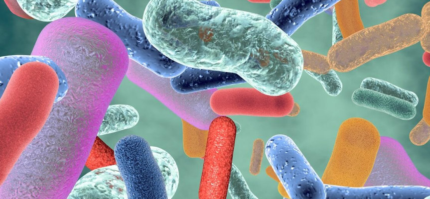 کاربرد پروبیوتیک ها در نوشیدنی ها Use of probiotics in beverages