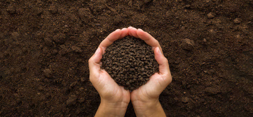 چگونه کود ارگانیک درست کنیم ؟ How to Make Organic Fertilizer