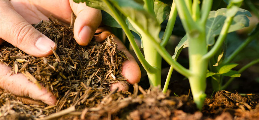 چگونه کود ارگانیک درست کنیم ؟ How to Make Organic Fertilizer