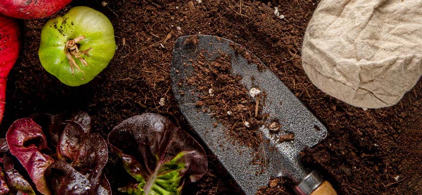 کود ارگانیک چیست؟ What Is Organic Fertilizer?
