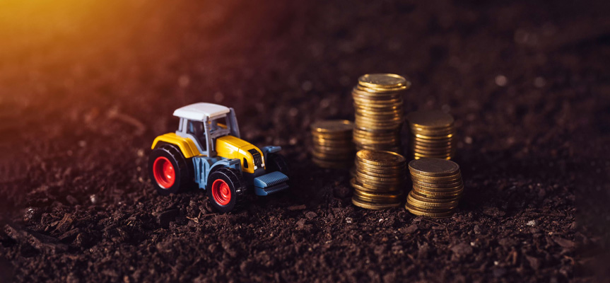 پر سود ترین محصولات کشاورزی The Most Profitable Agricultural Products
