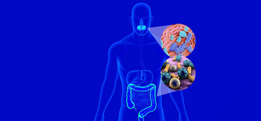پروبیوتیک ها و سلامت دستگاه گوارش Probiotics and Digestive Health