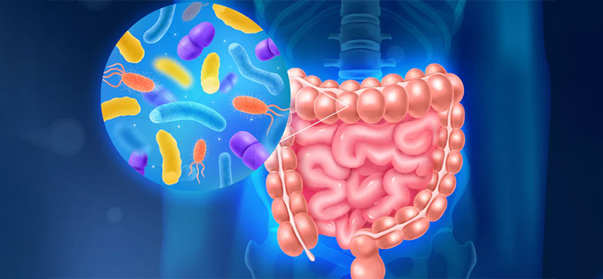 پروبیوتیک ها و سلامت دستگاه گوارش Probiotics and Digestive Health