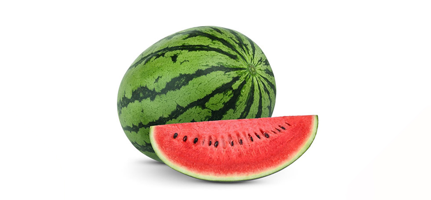 کشاورزی نوین هندوانه Modern Watermelon Agriculture