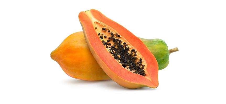 Immune System Boosters مواد غذایی بهبود دهنده سیستم ایمنی