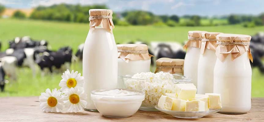 استقبال از محصولات پروبیوتیک در ایران The Rise of Probiotic Products in Iran
