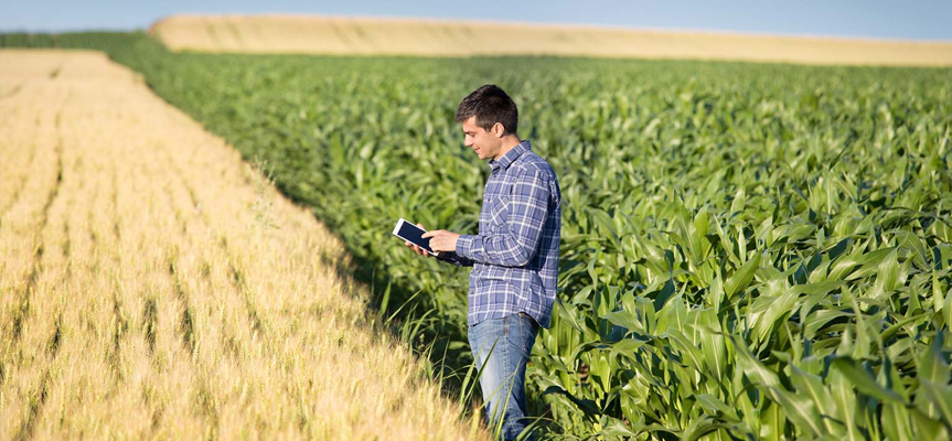 چطور محصولات کشاورزی تجاری سازی کنیم ؟ How to Commercialize Agricultural Products