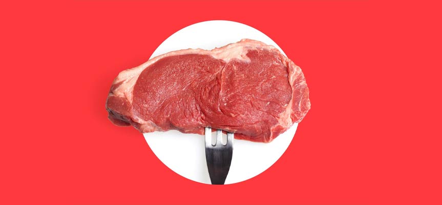 واژه نامه مواد غذایی جدید New Food glossary