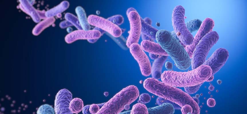 تفاوت پروبیوتیک، پری ‌بیوتیک و پست ‌بیوتیک The Difference Between Probiotics, Prebiotics, and Postbiotics