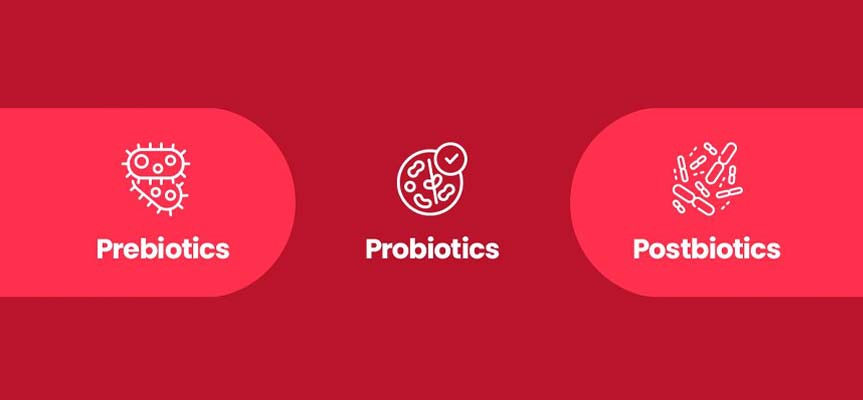 تفاوت پروبیوتیک، پری ‌بیوتیک و پست ‌بیوتیک The Difference Between Probiotics, Prebiotics, and Postbiotics