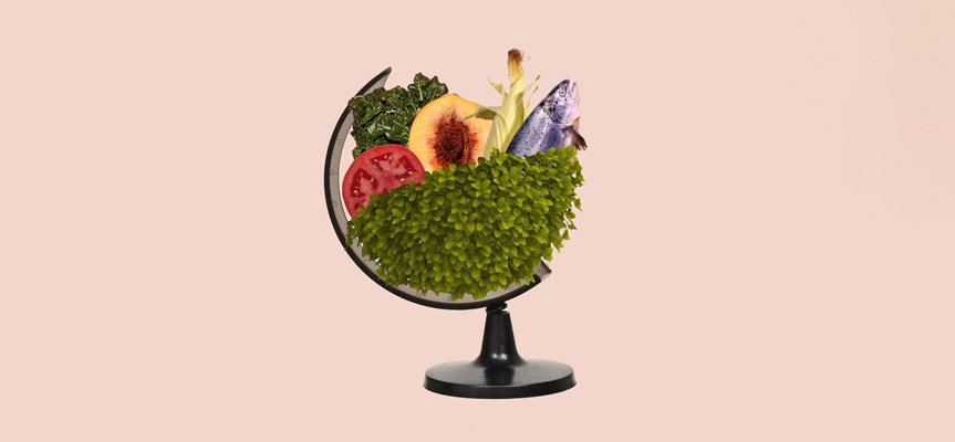 پایداری در صنعت غذا Sustainability in the Food Industry