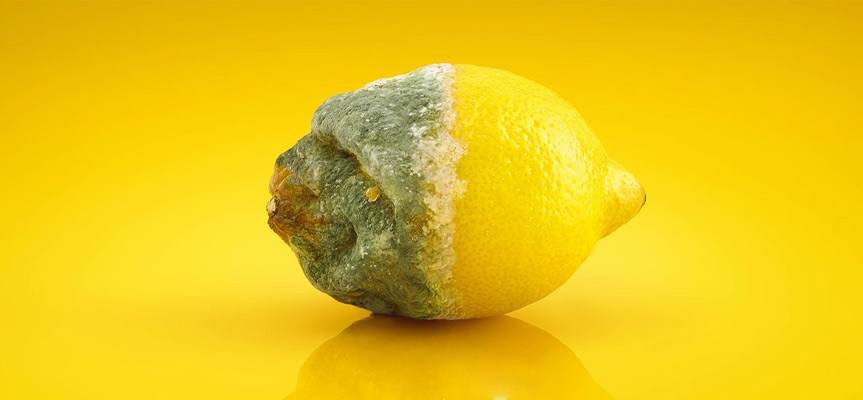 پایداری در صنعت غذا Sustainability in the Food Industry