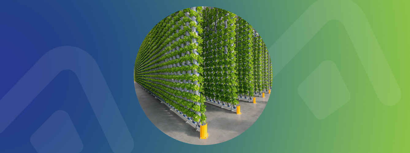 کشاورزی در محیط ‌های کنترل شده و آینده تولید