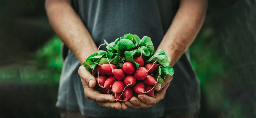 چرا محصولات ارگانیک گران ‌تر هستند؟ Why Are Organic Products More Expensive?