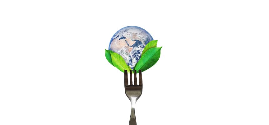 Sustainable food systems