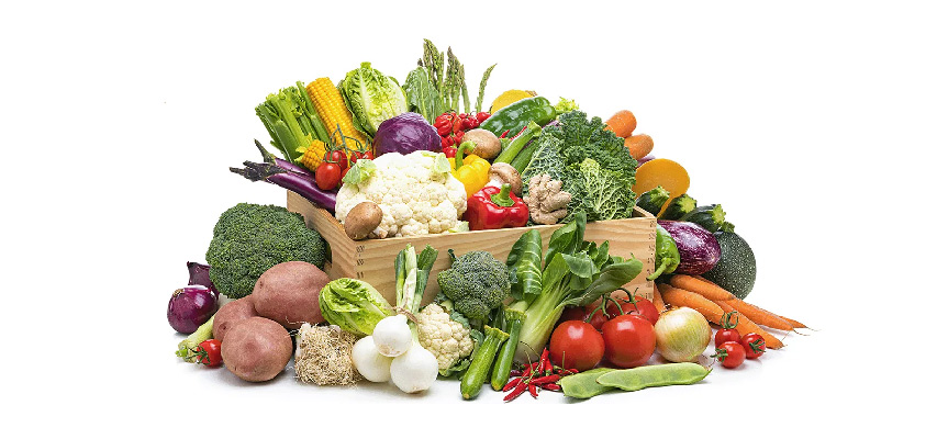 معرفی جدیدترین ترندهای صنعت غذا در سال ۲۰۲۵ Introducing the Latest Food Industry Trends in 2025