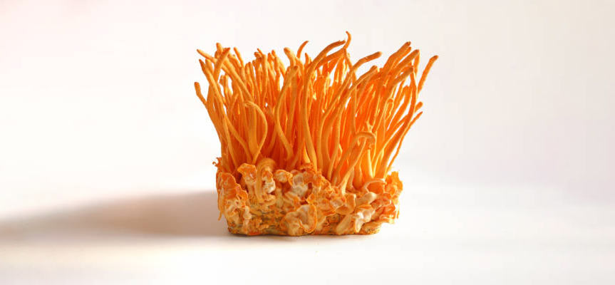 Providing Energy Using Natural Supplements