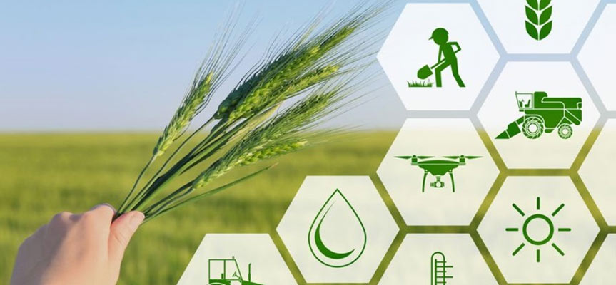 نقش هوش مصنوعی در کنترل آفات کشاورزی The Role of Artificial Intelligence in Agricultural Pest Control
