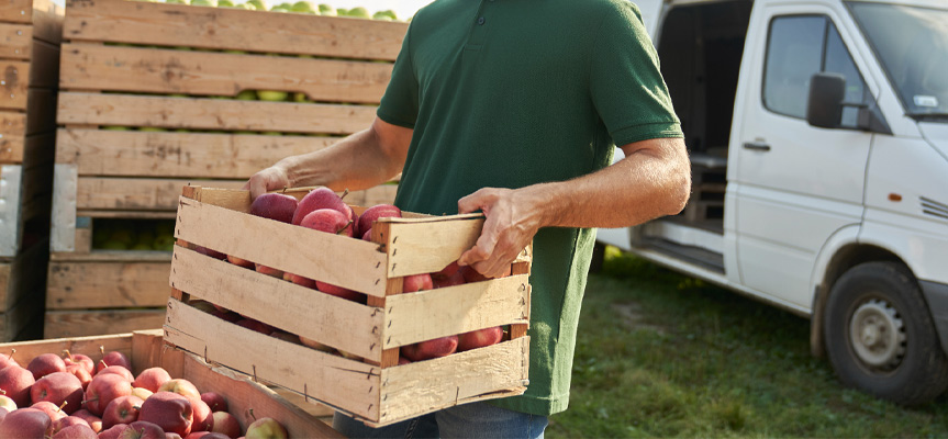 بهترین روش‌ های جلوگیری از فساد میوه در حمل ‌و نقل The Best Methods to Prevent Fruit Spoilage During Transportation Best Ways to Prevent Fruit Spoilage in Transport