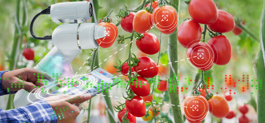 نقش هوش مصنوعی در کنترل آفات کشاورزی The Role of Artificial Intelligence in Agricultural Pest Control