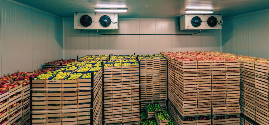 بهترین روش های جلوگیری از فساد میوه در حمل و نقل The Best Methods to Prevent Fruit Spoilage During Transportation Best Ways to Prevent Fruit Spoilage in Transport