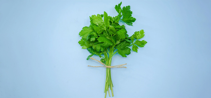 بهترین روش های نگهداری از سبزیجات تازه در خانه The Best Methods for Storing Fresh Vegetables at Home