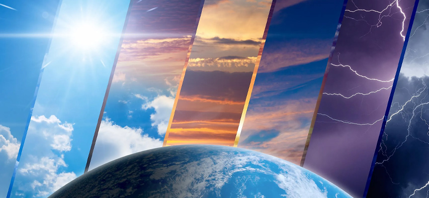 فرصت ‌های صادراتی محصولات ارگانیک ایران Export Opportunities for Iran’s Organic Products