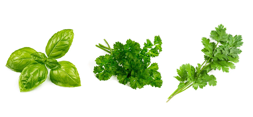 بهترین روش های نگهداری از سبزیجات تازه در خانه The Best Methods for Storing Fresh Vegetables at Home