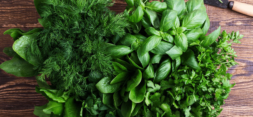 بهترین روش ‌های نگهداری از سبزیجات تازه در خانه The Best Methods for Storing Fresh Vegetables at Home