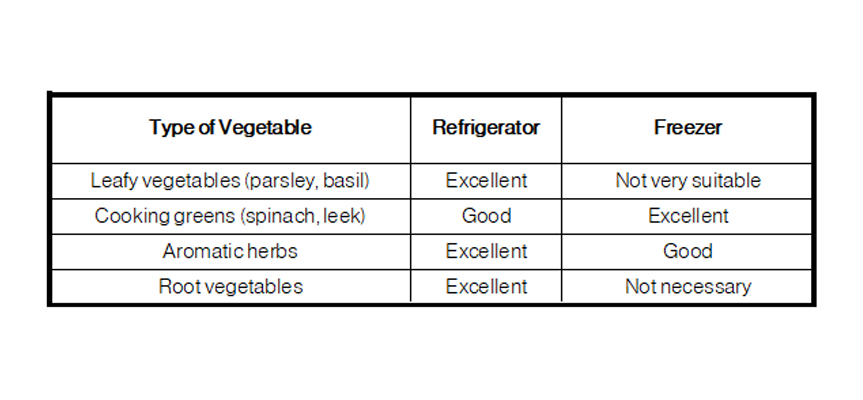 The Best Methods for Storing Fresh Vegetables at Home