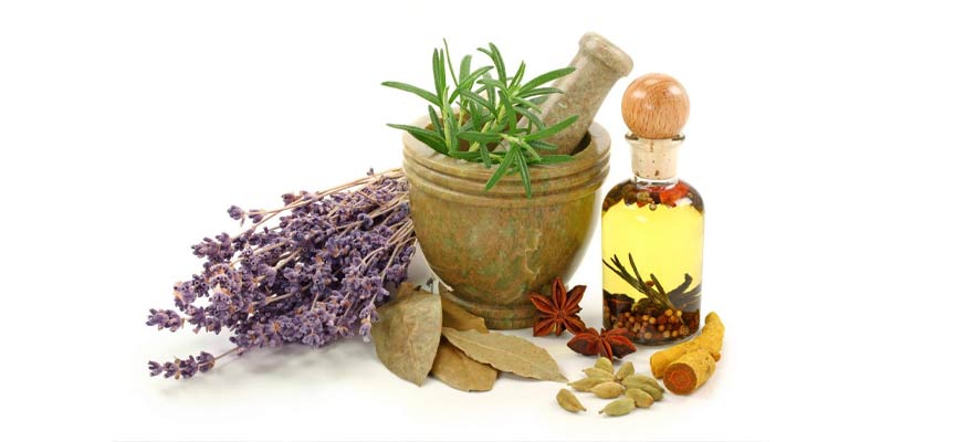 بهترین کشورها برای صادرات گیاهان دارویی ایران The Best Countries for Exporting Iranian Medicinal Plants