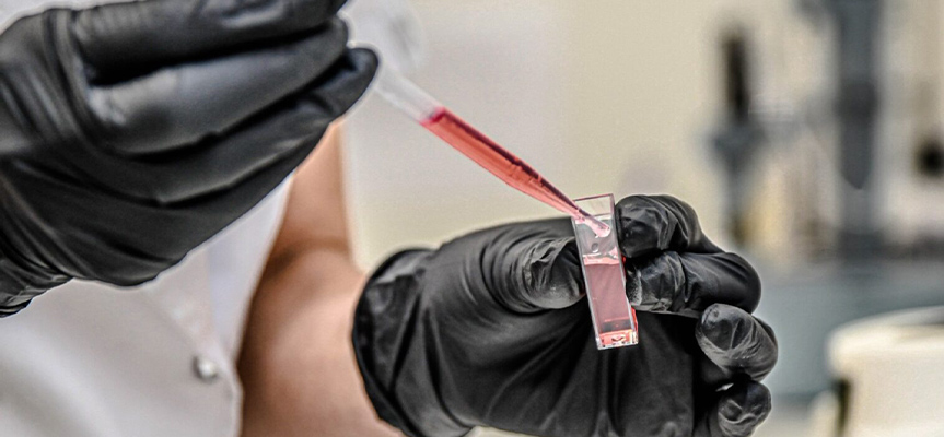 تحقیق و توسعه و انتشار هدفمند محتوا