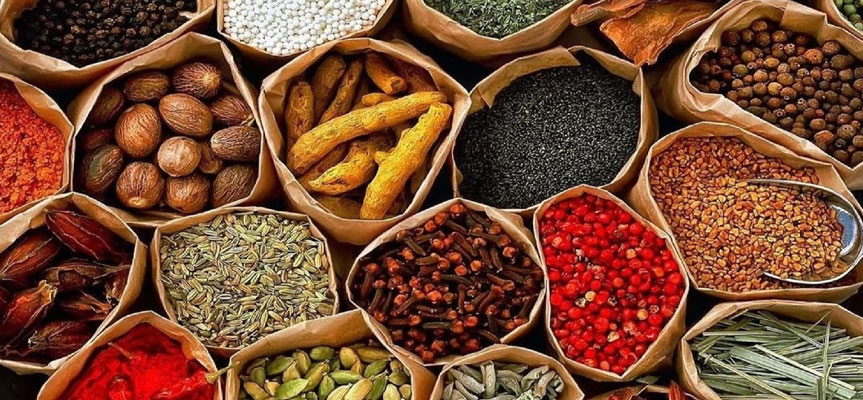 بهترین کشورها برای صادرات گیاهان دارویی ایران The Best Countries for Exporting Iranian Medicinal Plants