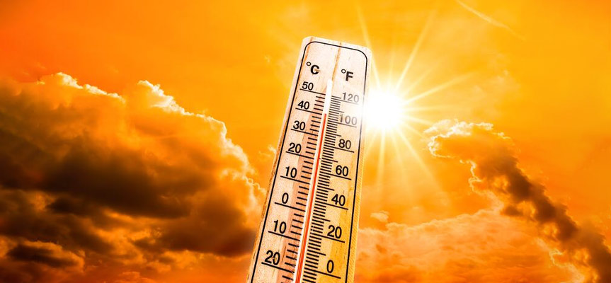 Why Is Greenhouse Farming More Economical? چرا کشاورزی گلخانه ای به صرفه تر است؟