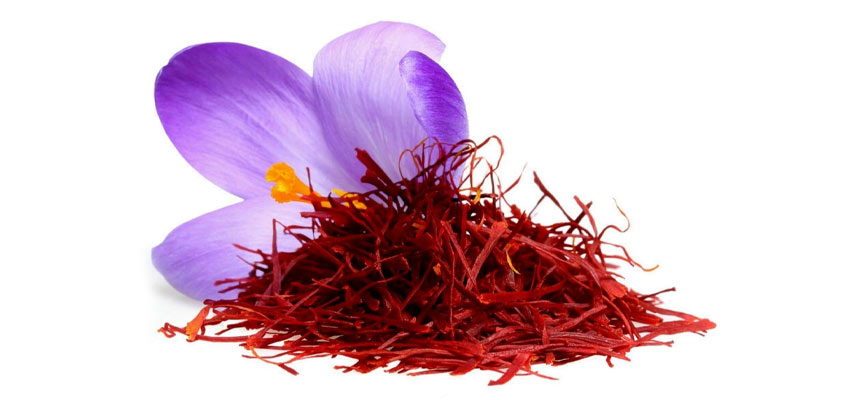 بهترین کشورها برای صادرات گیاهان دارویی ایران The Best Countries for Exporting Iranian Medicinal Plants