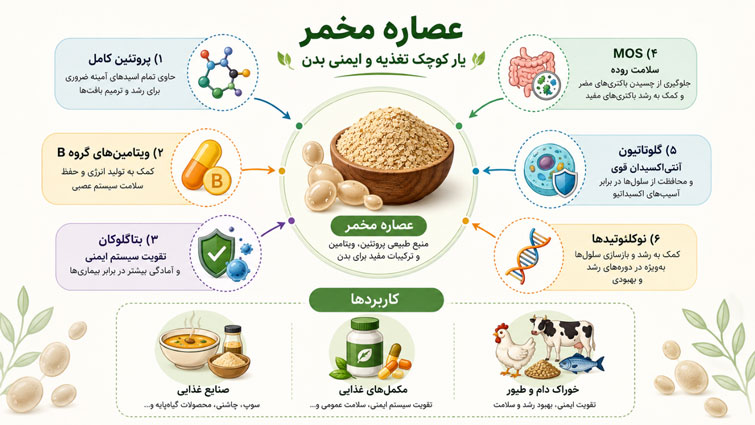 اینفوگرافیک ترکیبات و کاربردهای عصاره مخمر در تقویت تغذیه و ایمنی بدن