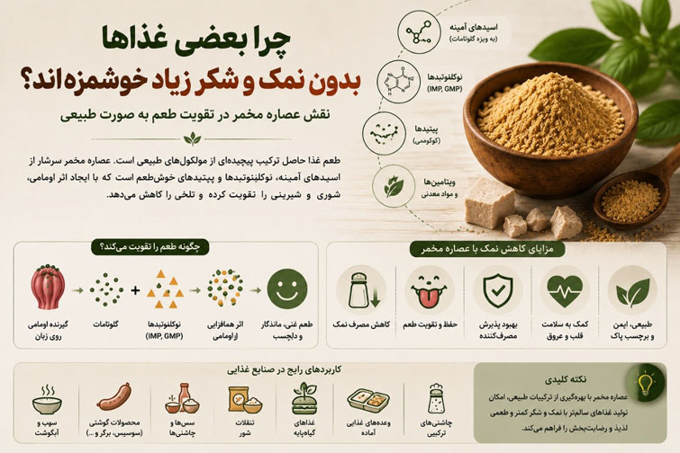 اینفوگرافیک نقش عصاره مخمر در تقویت طعم طبیعی غذا و کاهش نمک و شکر