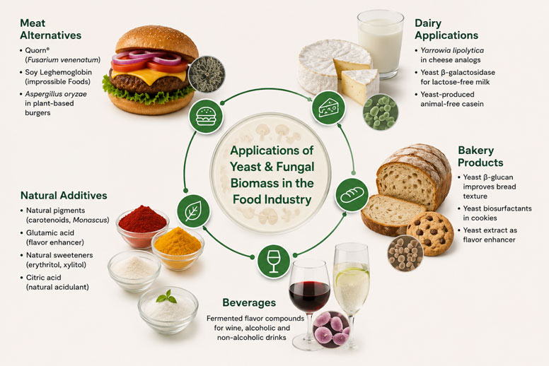 Applications of Yeast and Fungal Biomass in the Food Industry Meat Alternatives, Dairy Products, Bakery, Natural Additives, and Beverages.